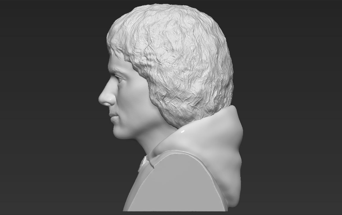 Frodo Baggins The Lord of the Rings bust 3D printing ready  3D print model_3