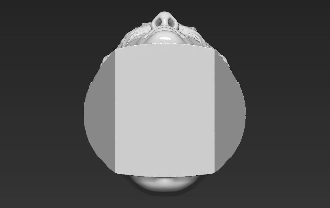 Frodo Baggins The Lord of the Rings bust 3D printing ready  3D print model_23