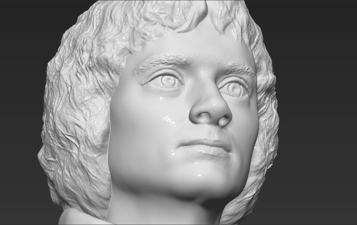 Frodo Baggins The Lord of the Rings bust 3D printing ready  3D print model_19