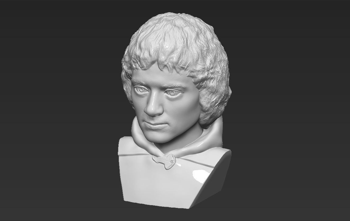 Frodo Baggins The Lord of the Rings bust 3D printing ready  3D print model_12