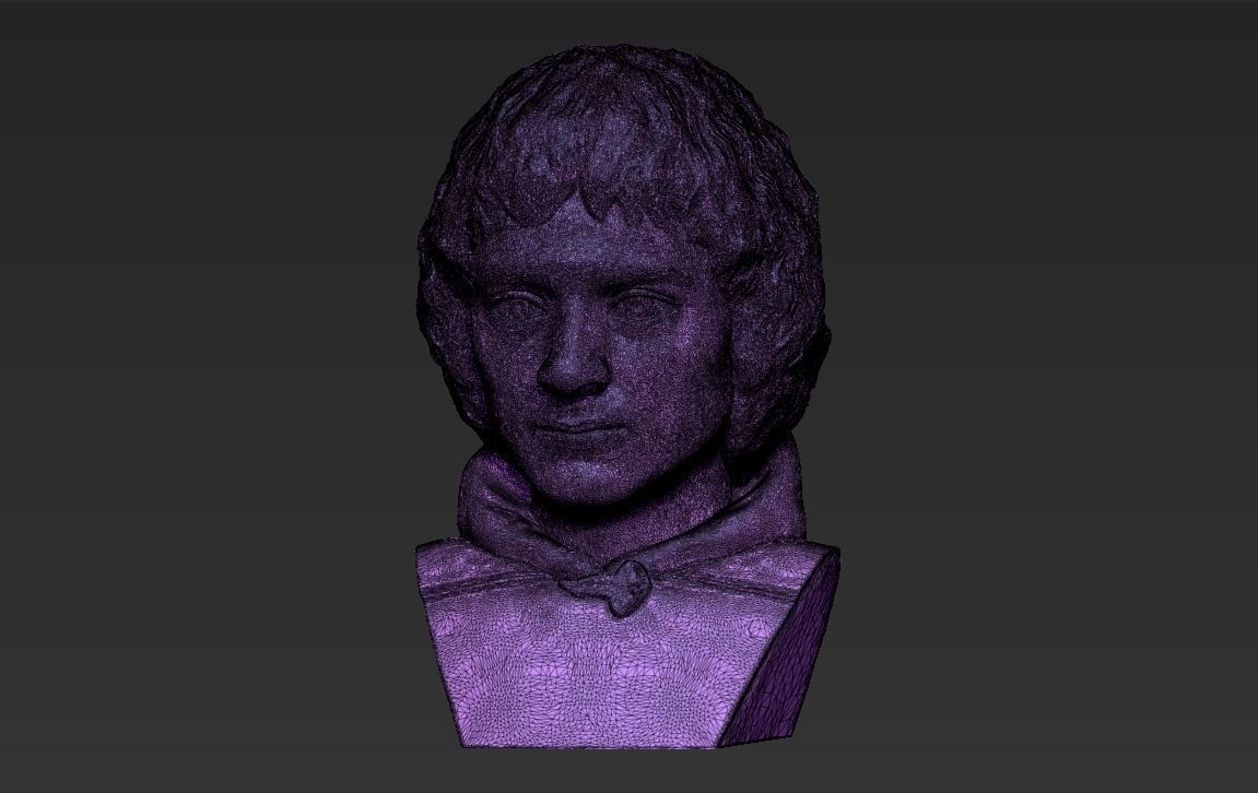 Frodo Baggins The Lord of the Rings bust 3D printing ready  3D print model_26