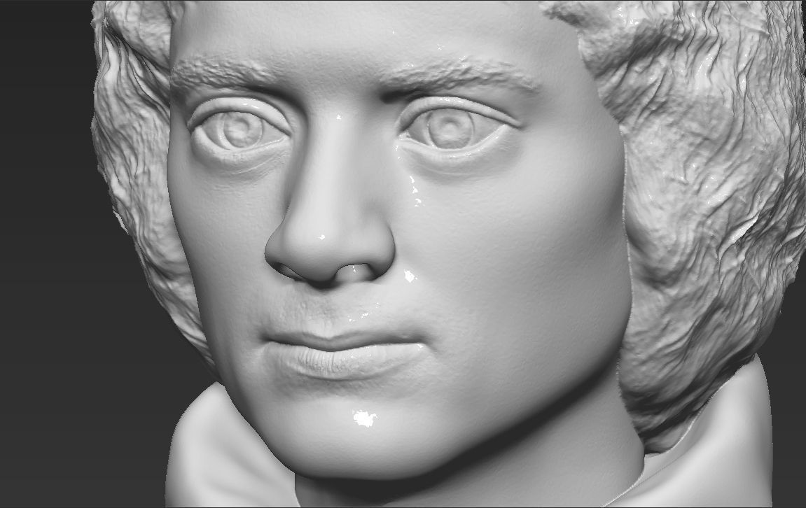 Frodo Baggins The Lord of the Rings bust 3D printing ready  3D print model_17