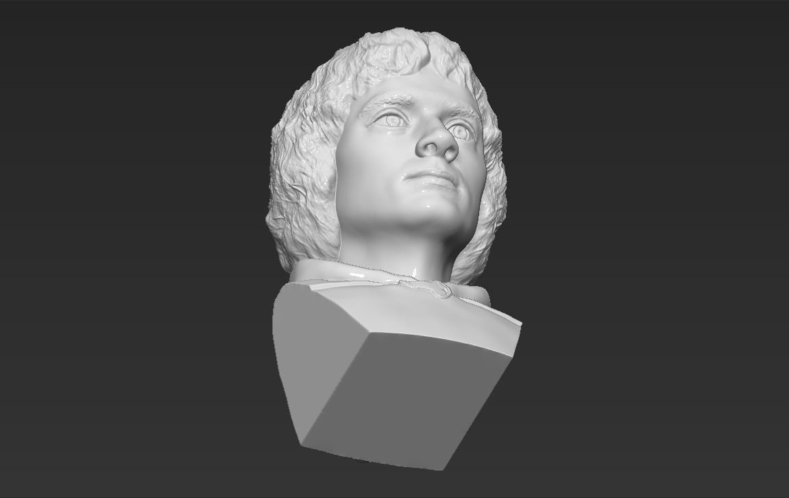 Frodo Baggins The Lord of the Rings bust 3D printing ready  3D print model_21