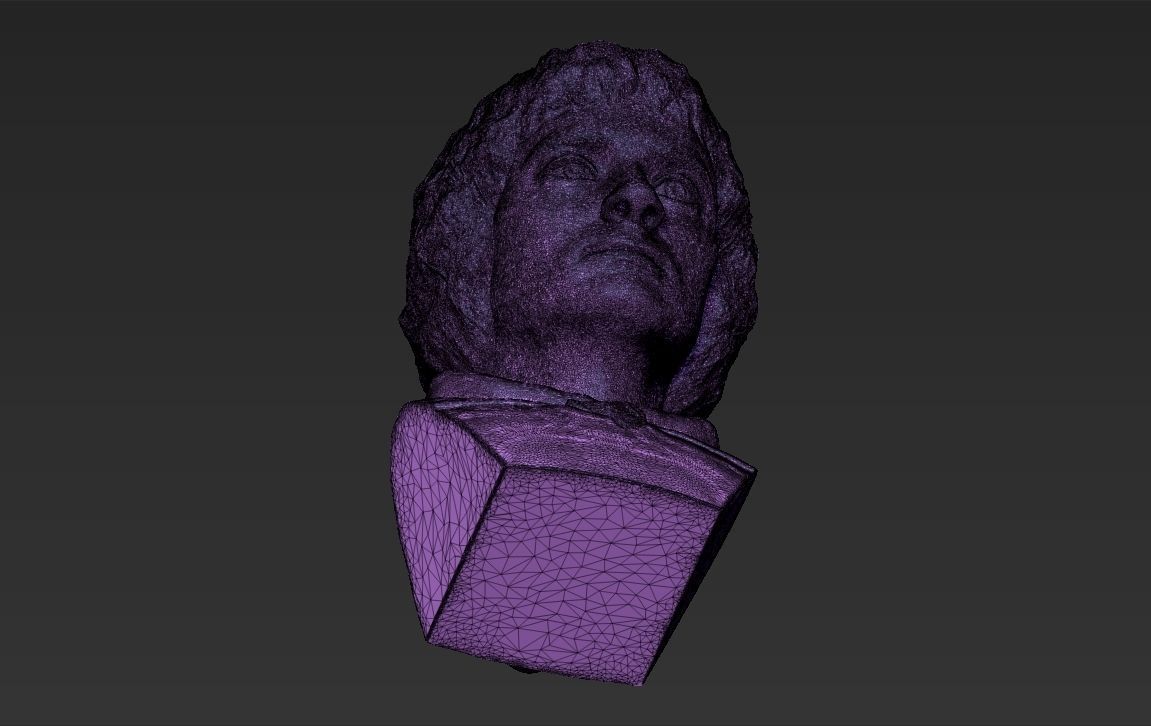 Frodo Baggins The Lord of the Rings bust 3D printing ready  3D print model_29
