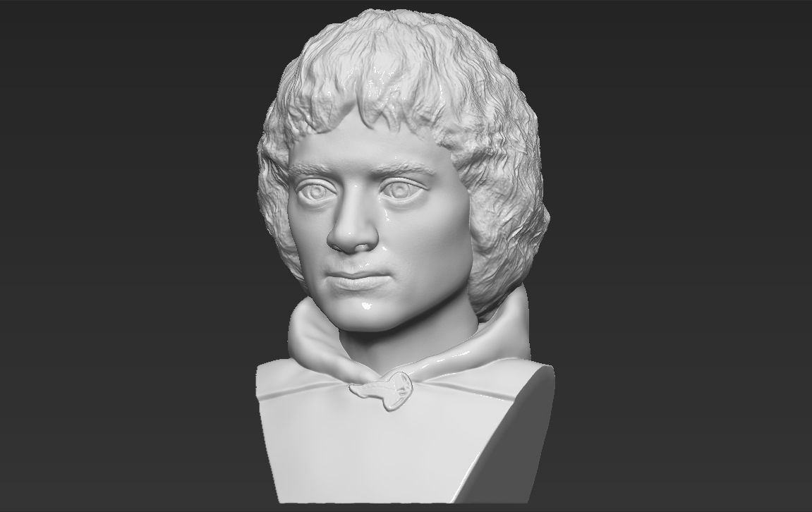 Frodo Baggins The Lord of the Rings bust 3D printing ready  3D print model_1