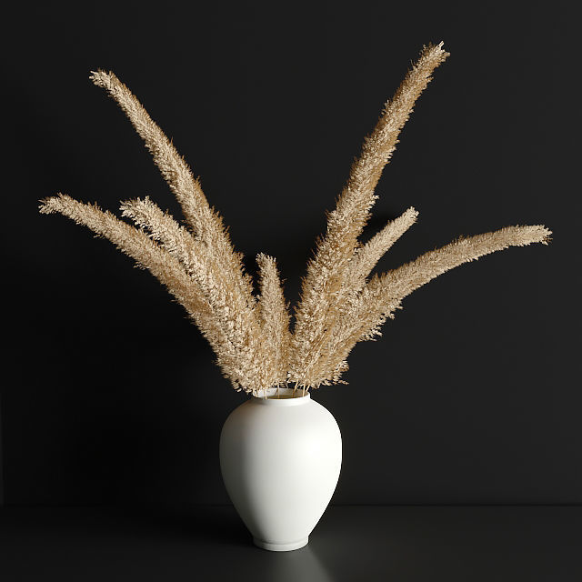 pampas grass 3D model_3
