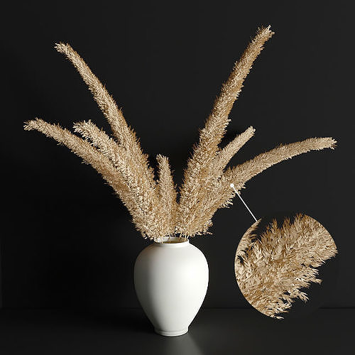 pampas grass 3D model