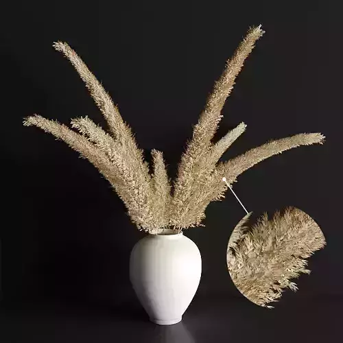 pampas grass 3D model