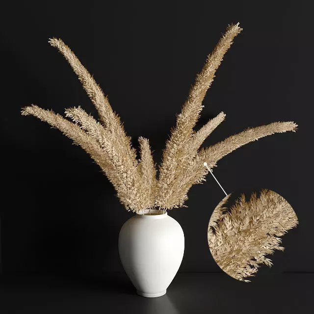 pampas grass 3D model_0