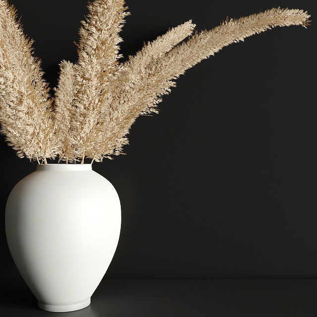 pampas grass 3D model_1