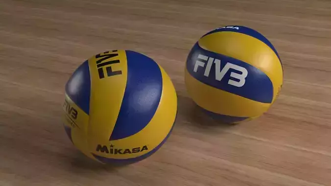 Volleyball FIVB 300 PBR
