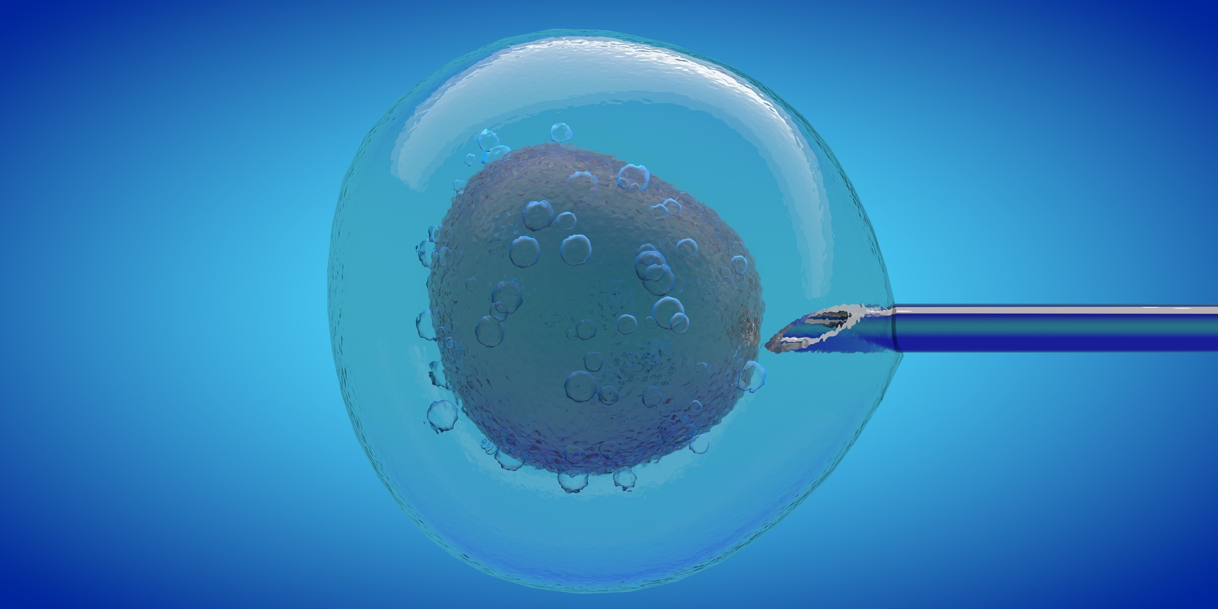 IVF cell simulation animal or human cell and needle 3D model_1