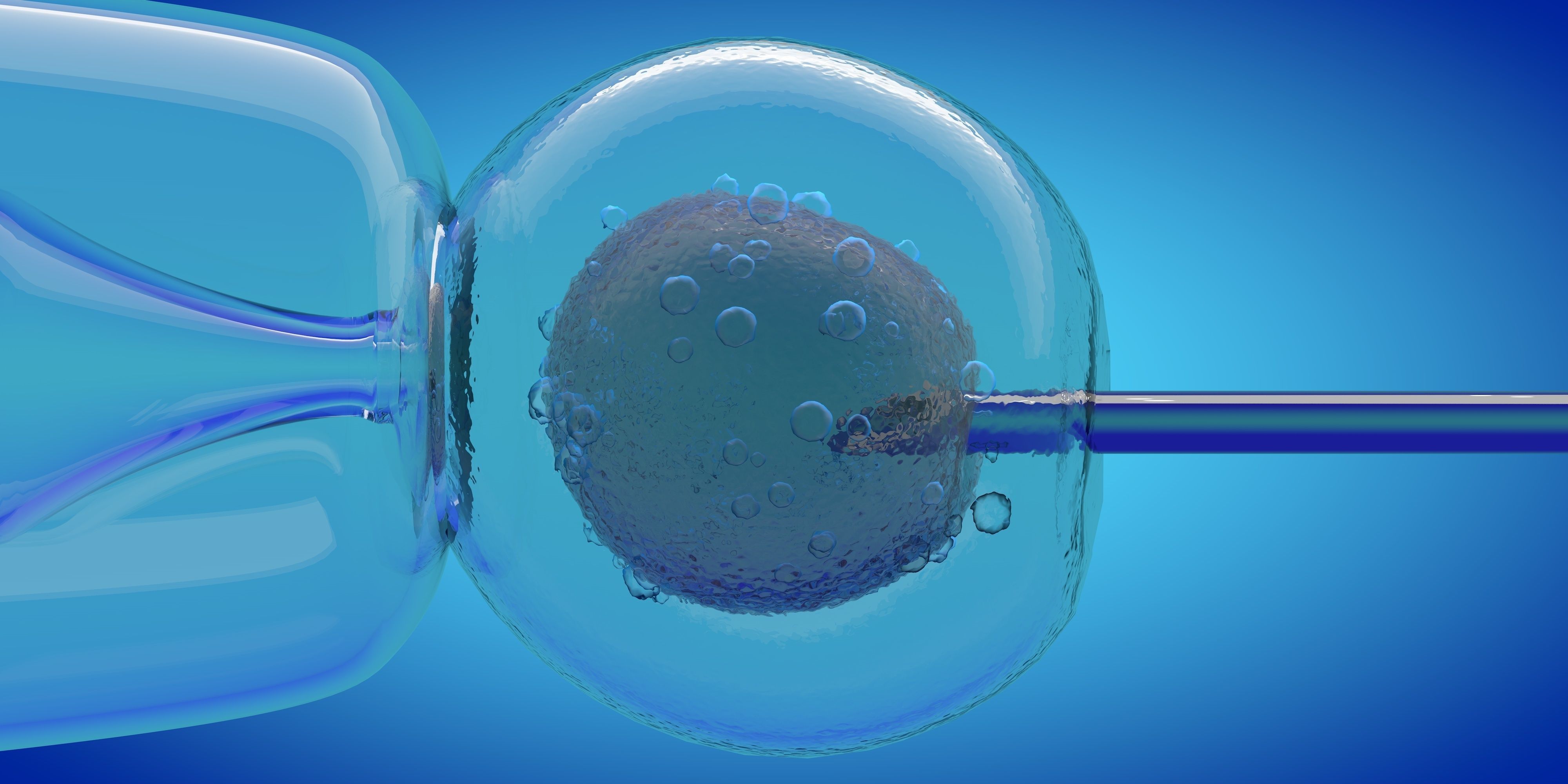 IVF cell simulation animal or human cell and needle 3D model_2