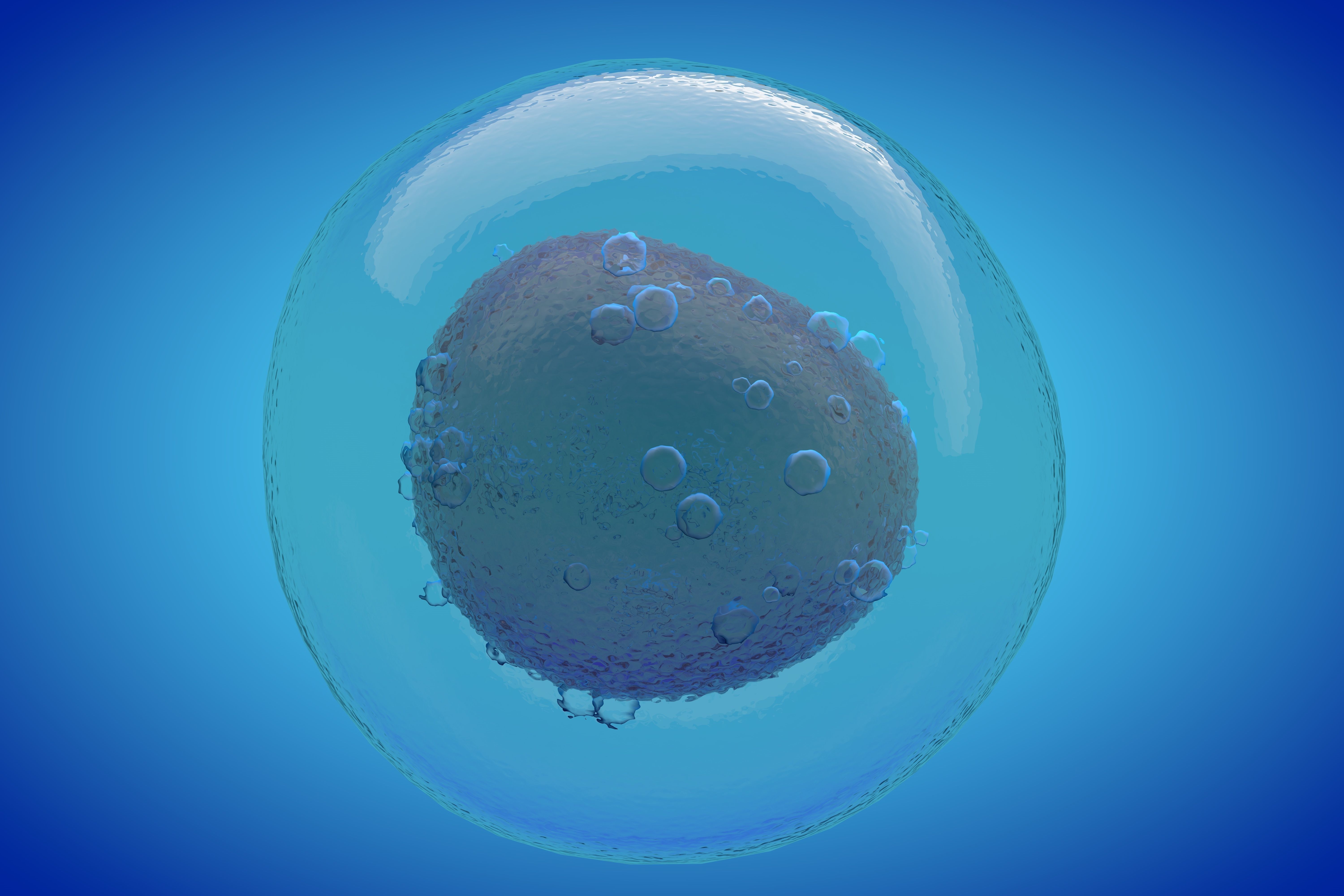 IVF cell simulation animal or human cell and needle 3D model_3