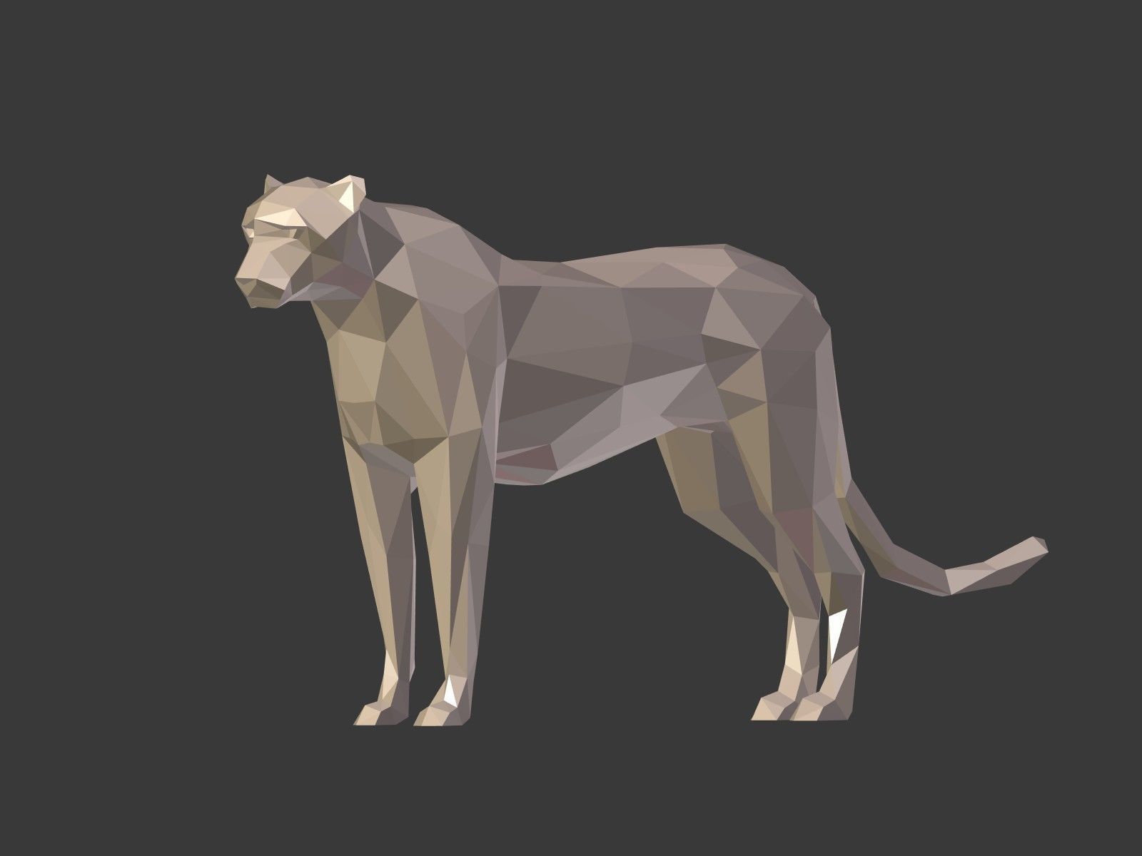 LowPoly Cartoon Cheetah Low-poly 3D model_3
