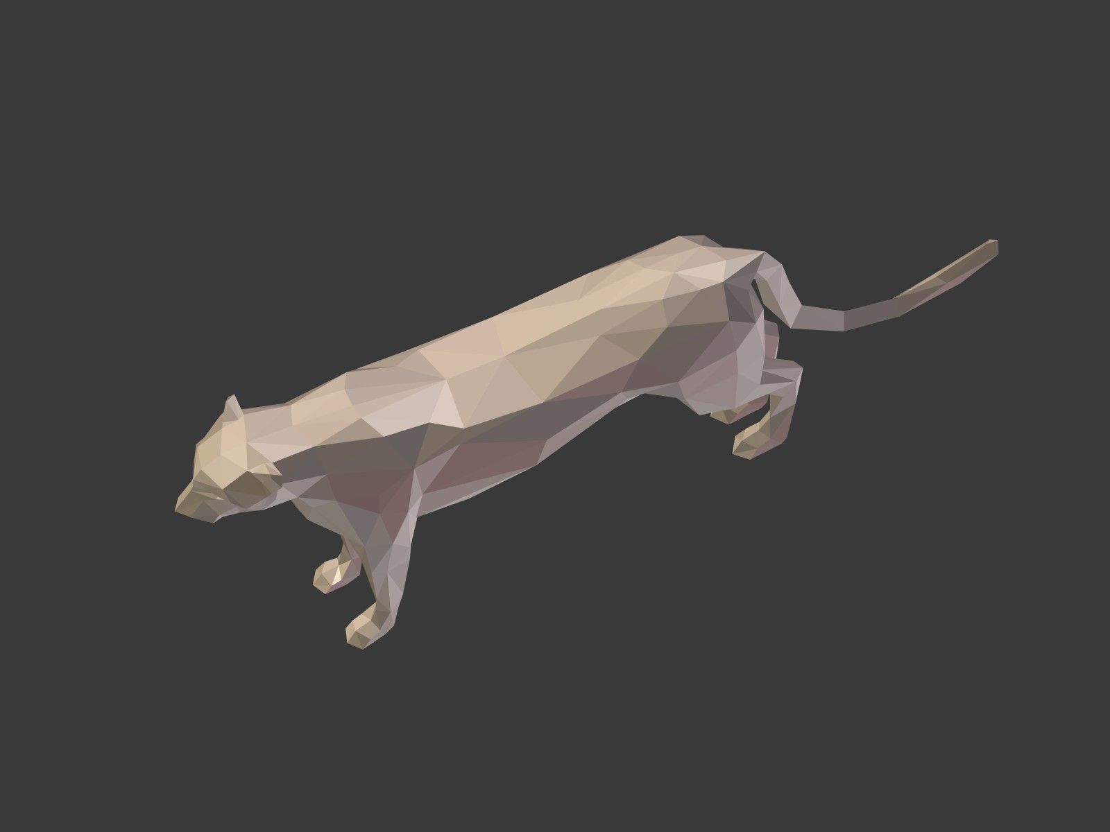 LowPoly Cartoon Cheetah Low-poly 3D model_11