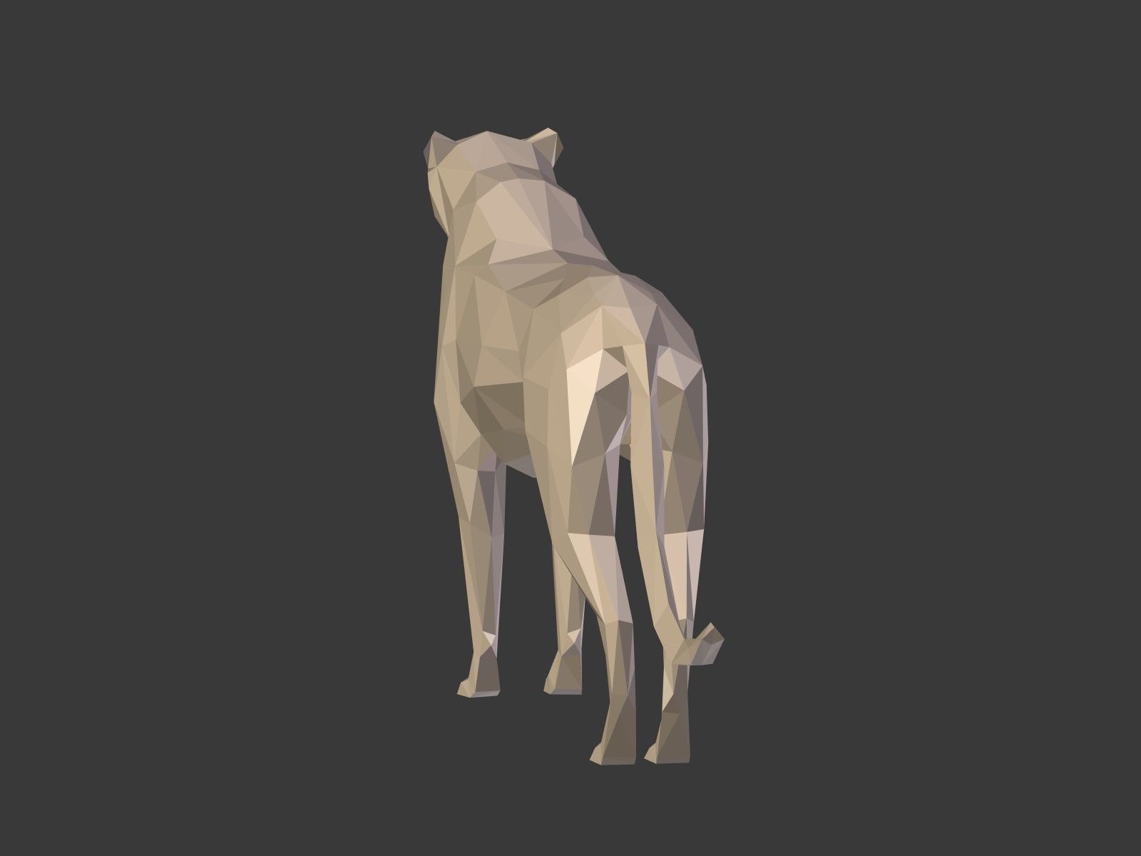 LowPoly Cartoon Cheetah Low-poly 3D model_9