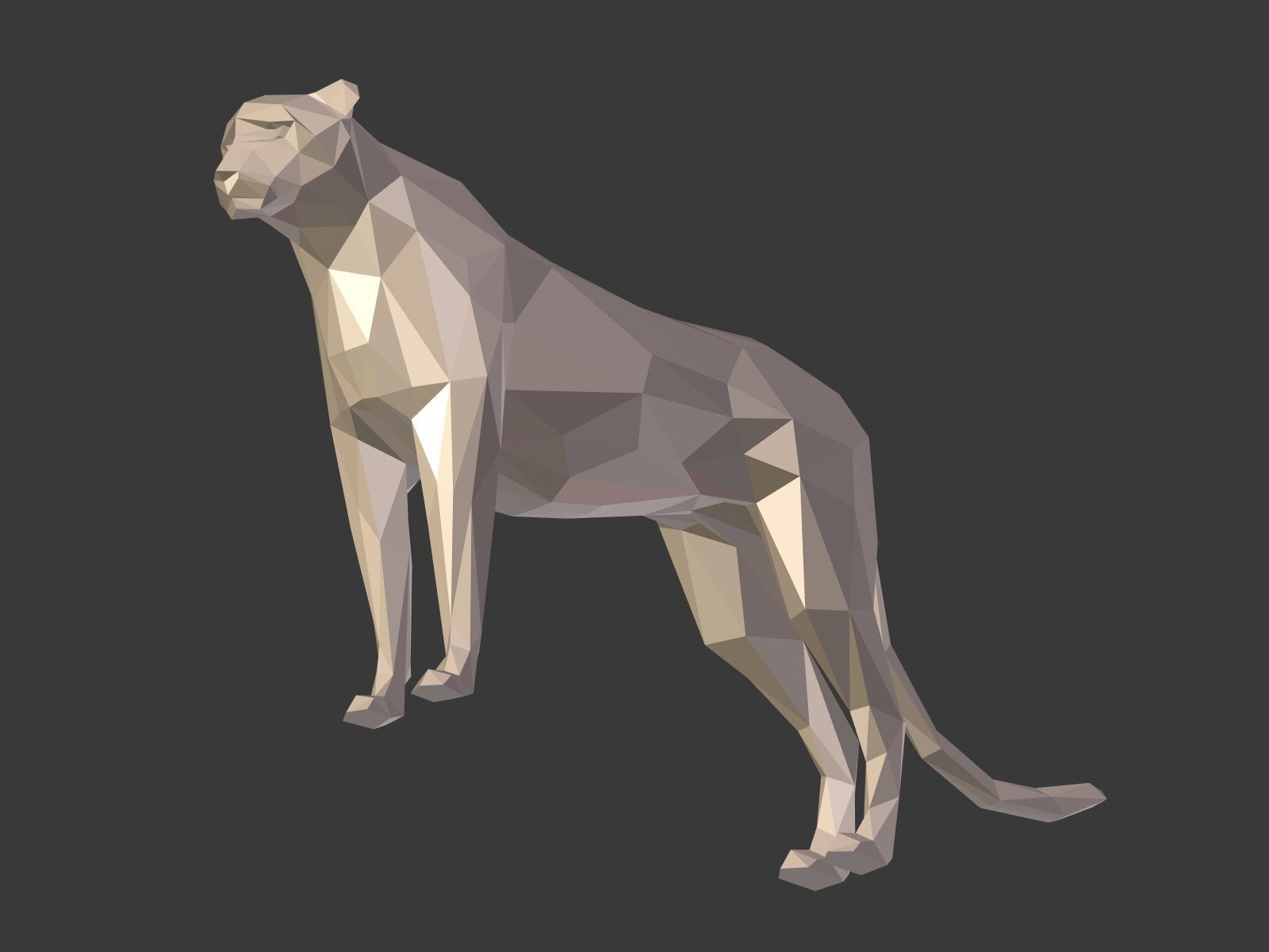 LowPoly Cartoon Cheetah Low-poly 3D model_13