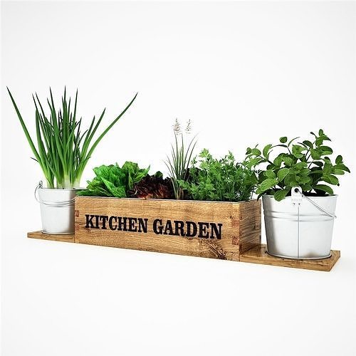 Realistic kitchen garden 3D model