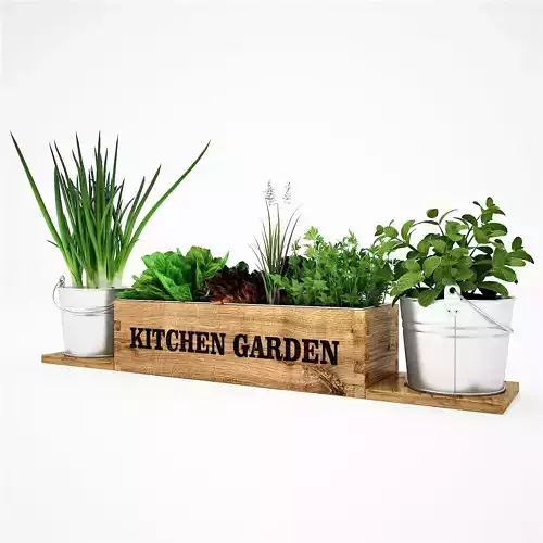 Realistic kitchen garden