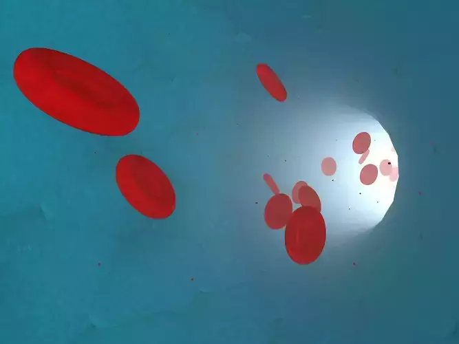 Red Blood cells in a vessel blood stream