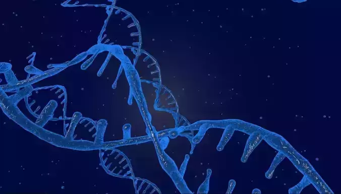 DNA double helix strand and particles 3D model