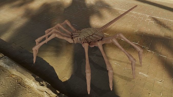 Alien facehugger rigged for blender Low-poly 3D model
