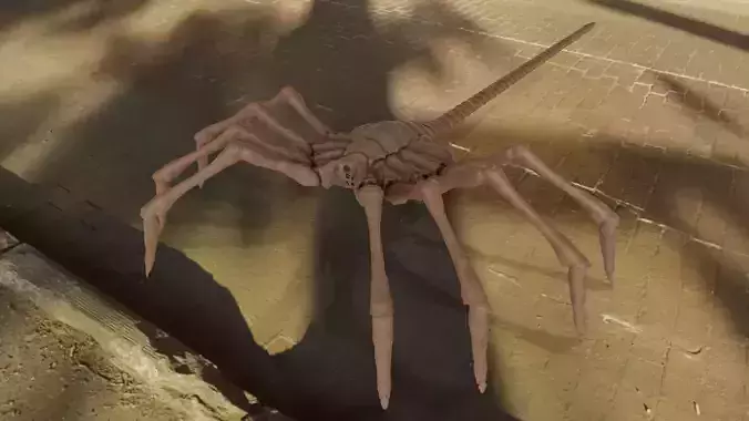 Alien facehugger rigged for blender Low-poly 3D model