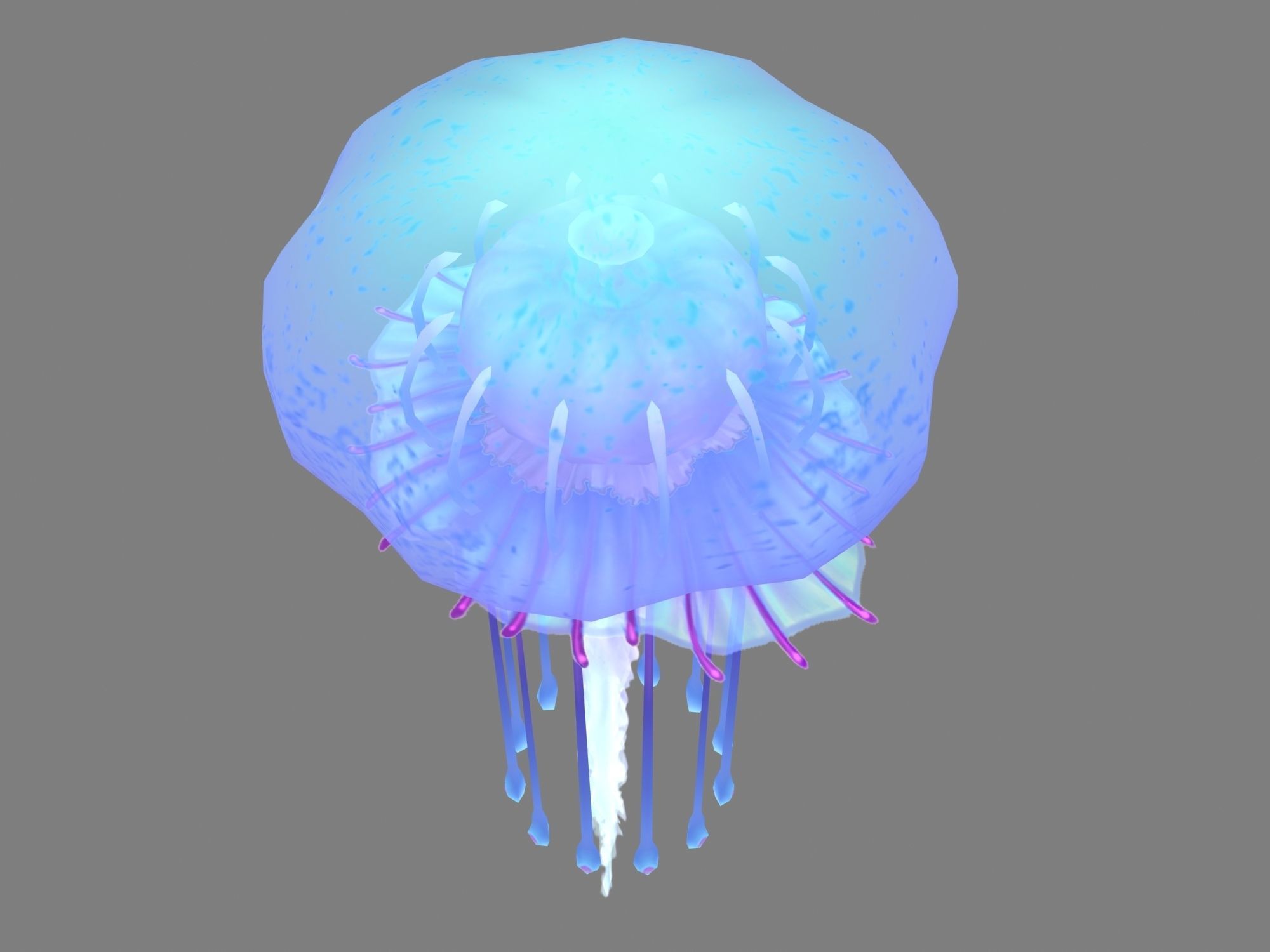 Dynasty Low mode - octopus 32 3D model_2