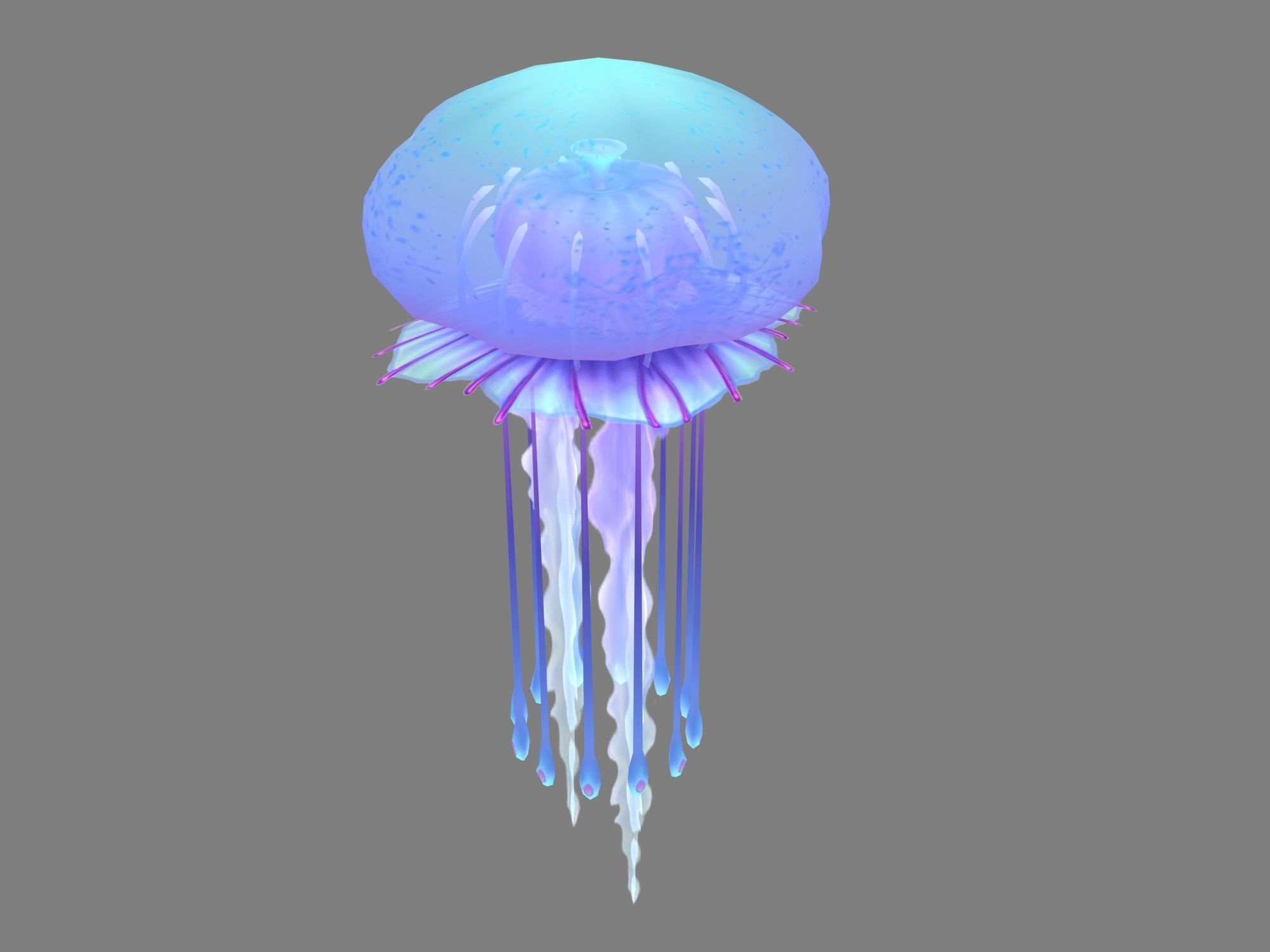 Dynasty Low mode - octopus 32 3D model_1