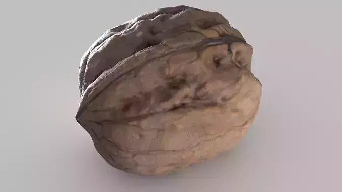photogrammetry nut