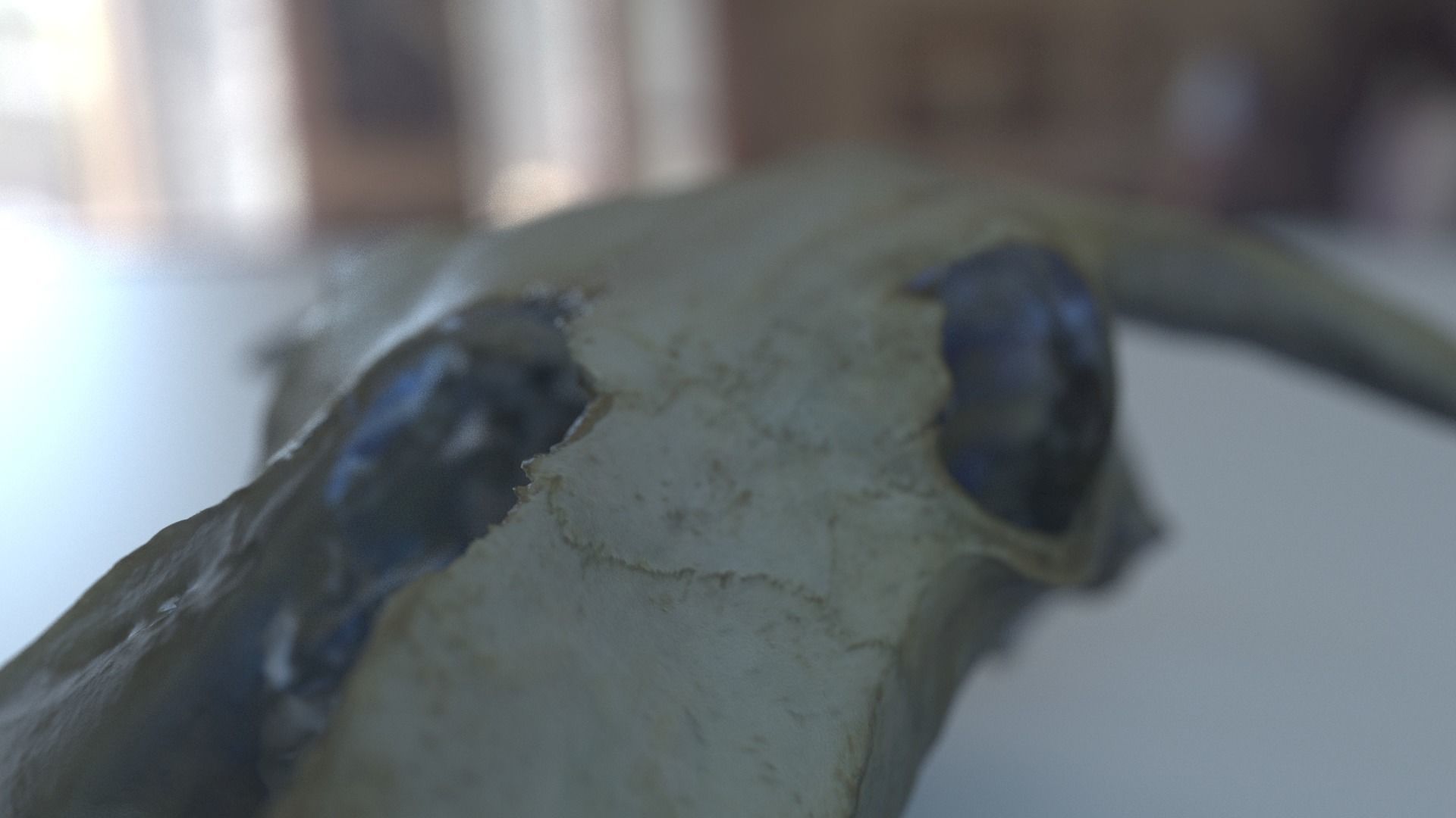 photogrammetry cow skull 3D model_1