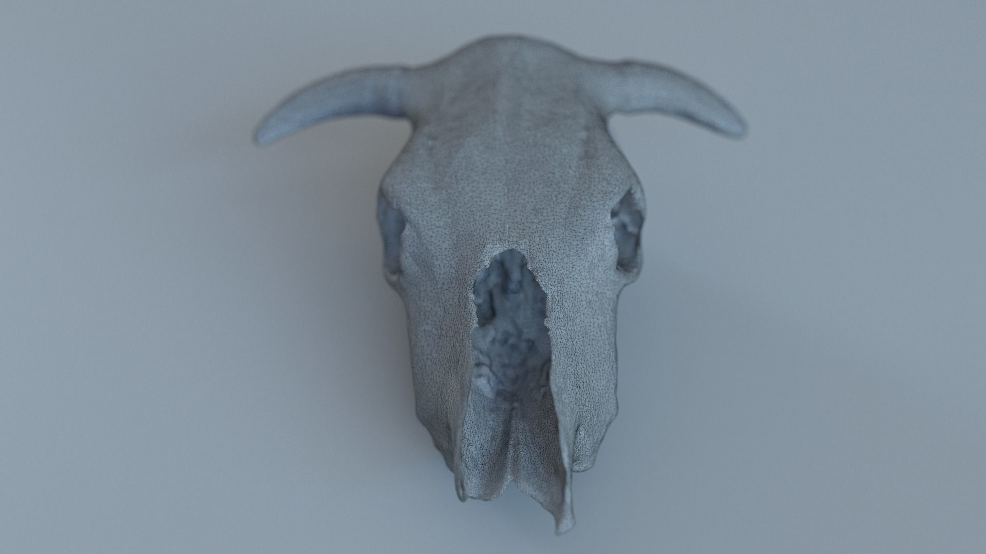 photogrammetry cow skull 3D model_4