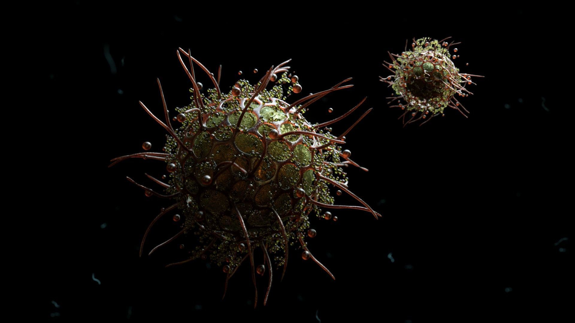 cell animation 3D model_4