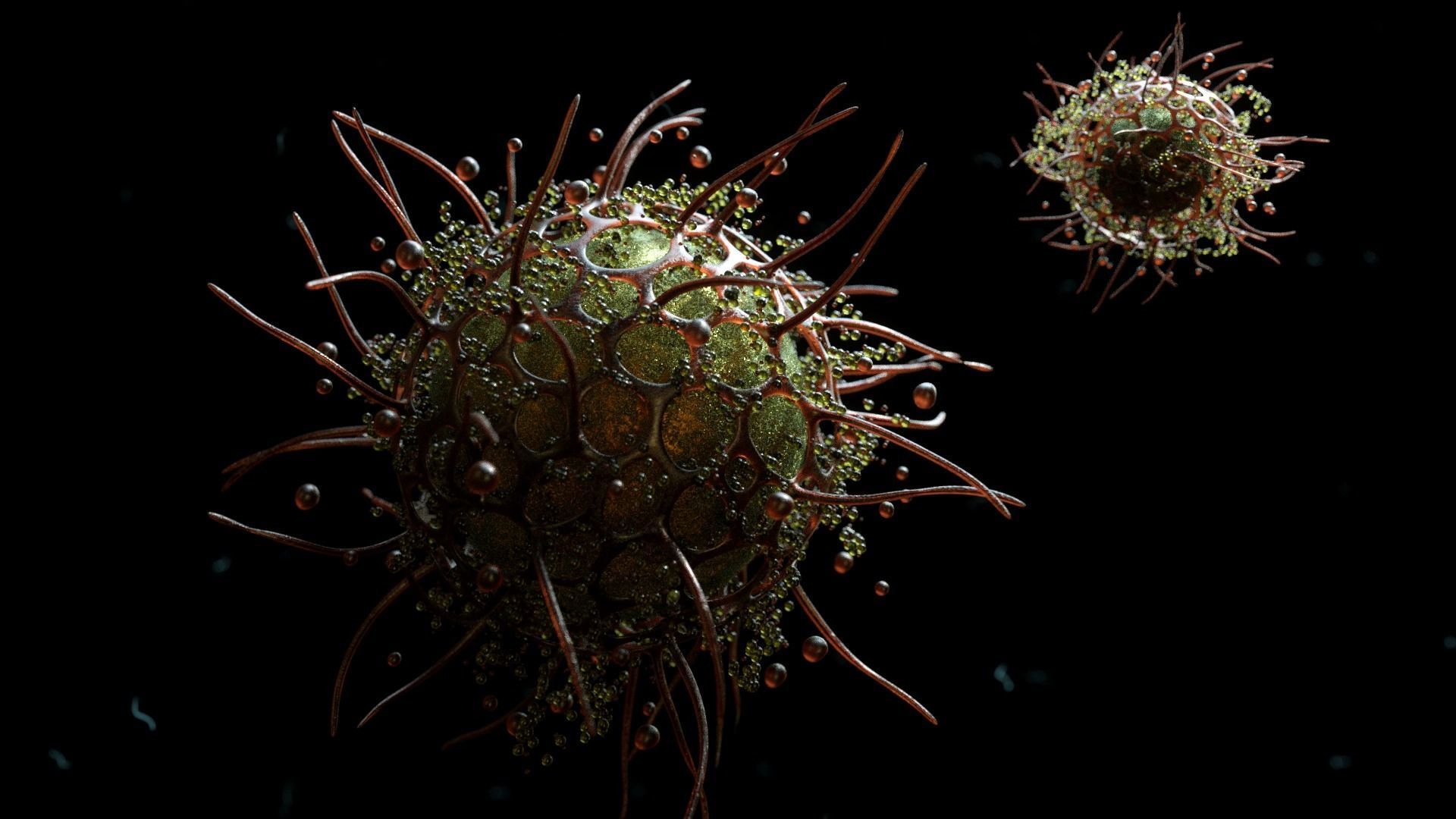 cell animation 3D model_1