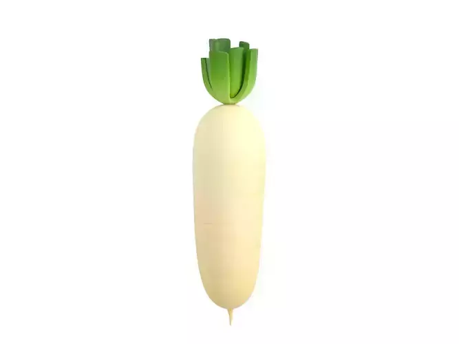 White Radish