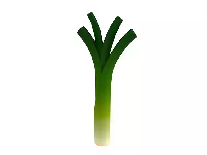 Cartoon Leek 