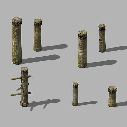 Dynasty Kung Fu - Equipment - Plum Blossoms 12 3D model