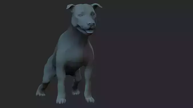 pitbull pit bull dog