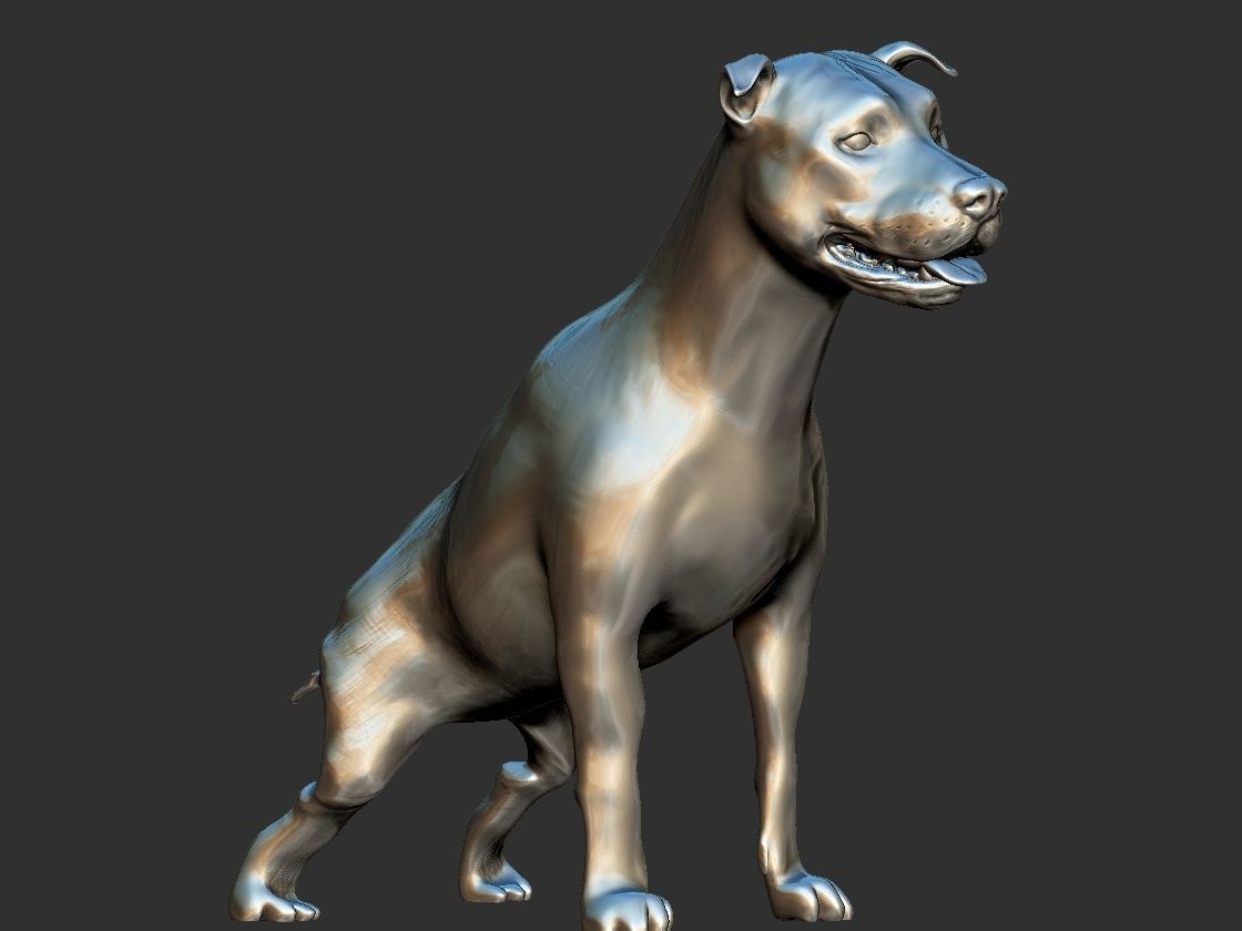 pitbull pit bull dog 3D print model_4
