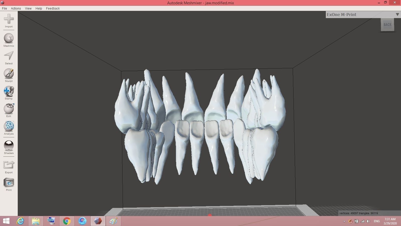 teeth tooth Low-poly 3D model_3