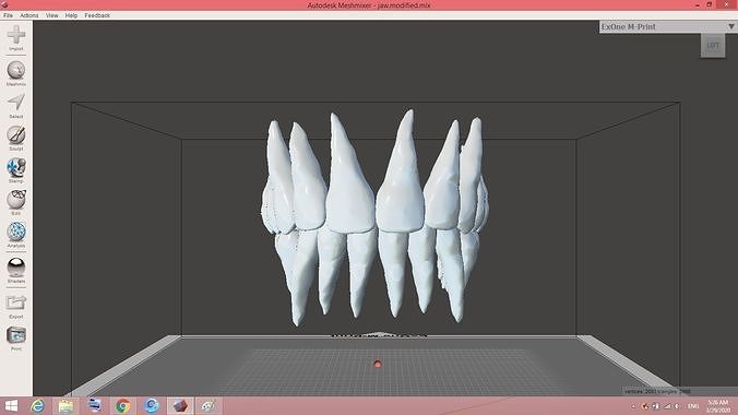 teeth tooth Low-poly 3D model