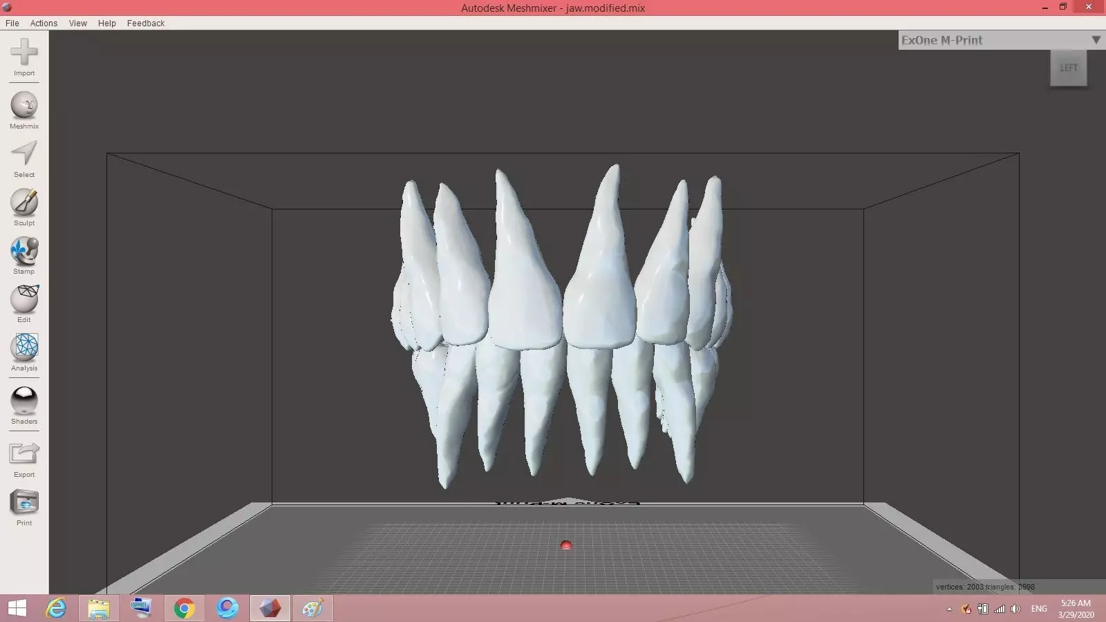teeth tooth Low-poly 3D model_0