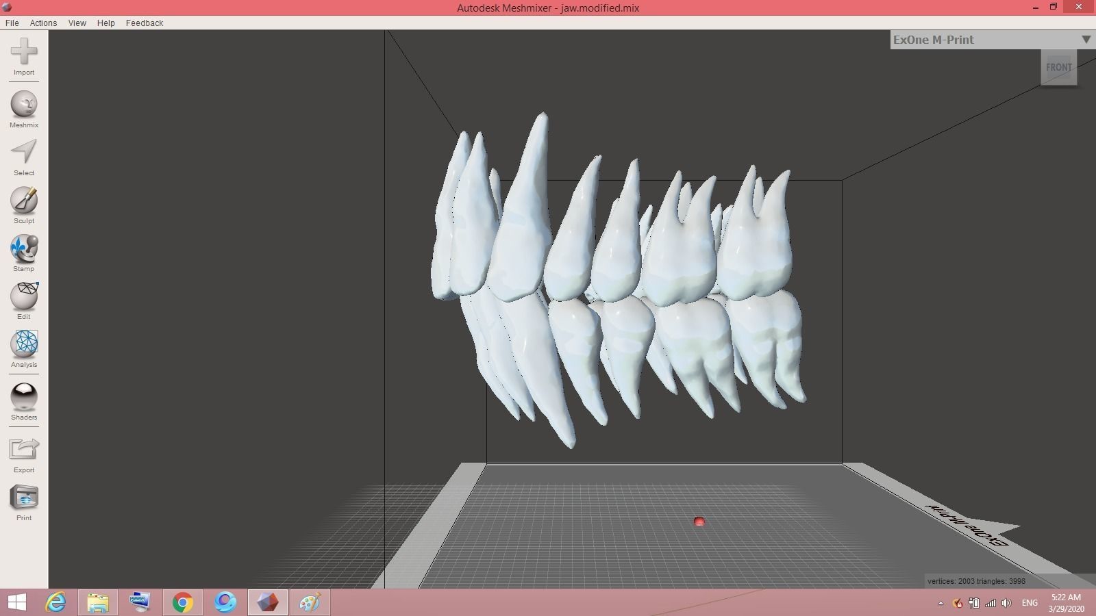 teeth tooth Low-poly 3D model_1