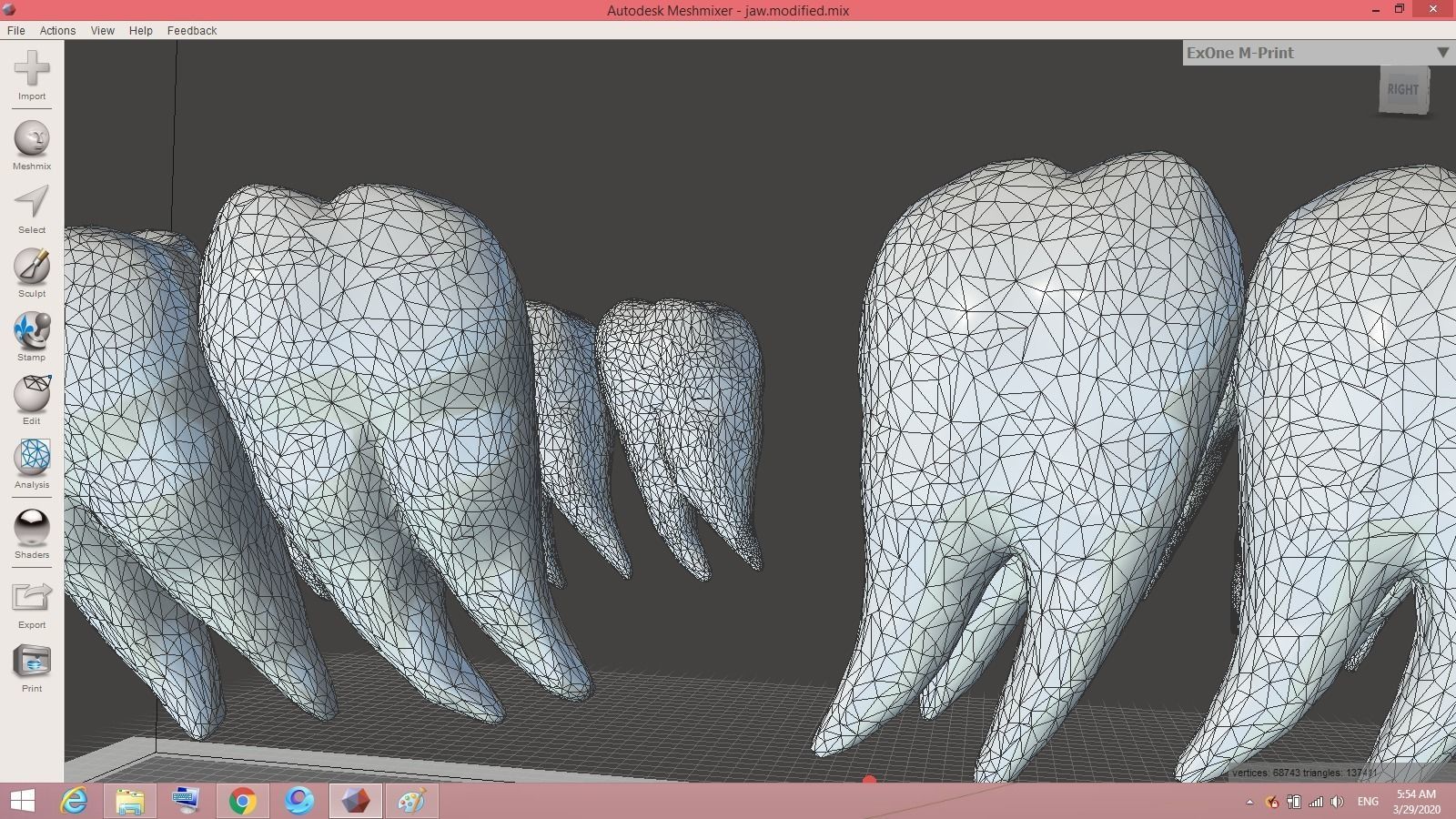 teeth tooth Low-poly 3D model_4