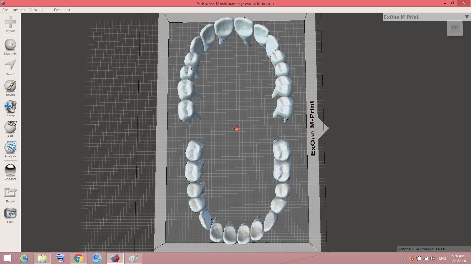 teeth tooth Low-poly 3D model_2