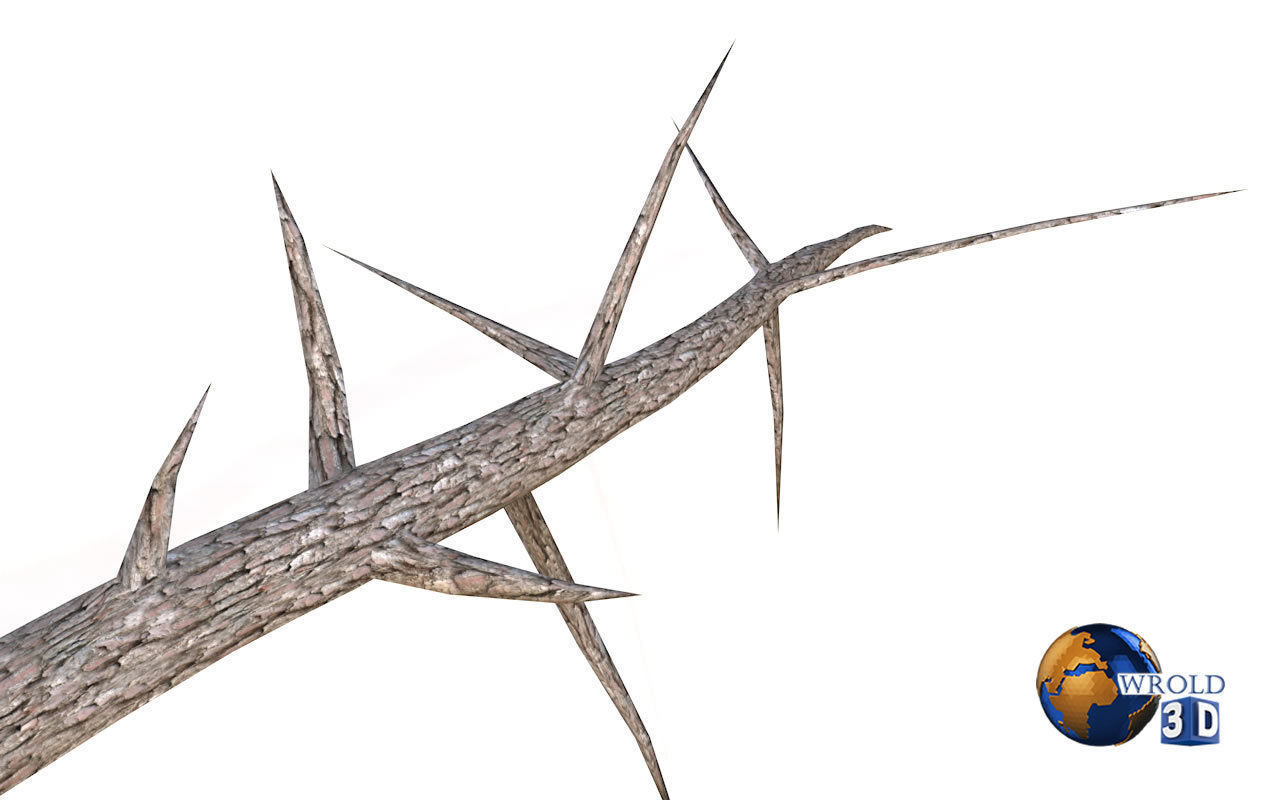 Lowpoly Broken Tree Branches Stump Collection Pack 3d Model Low-poly 3D model_6