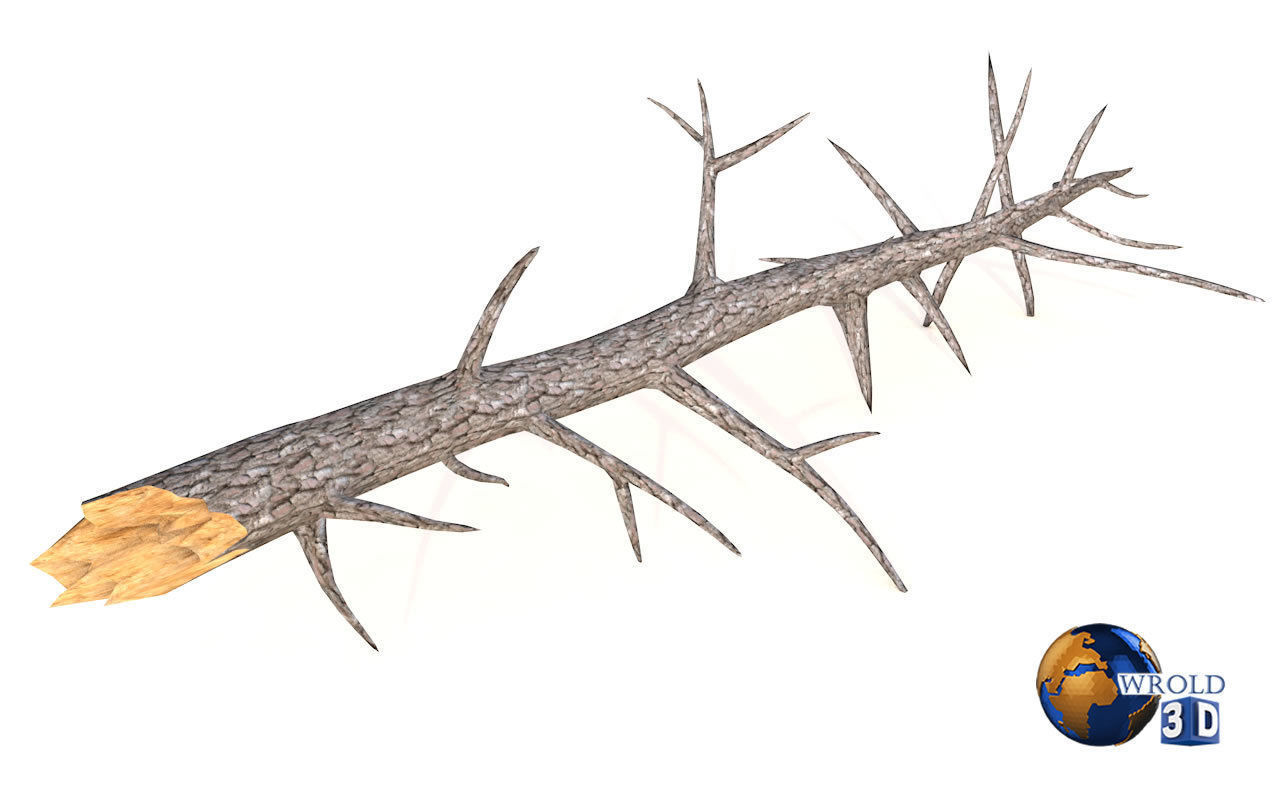 Lowpoly Broken Tree Branches Stump Collection Pack 3d Model Low-poly 3D model_4