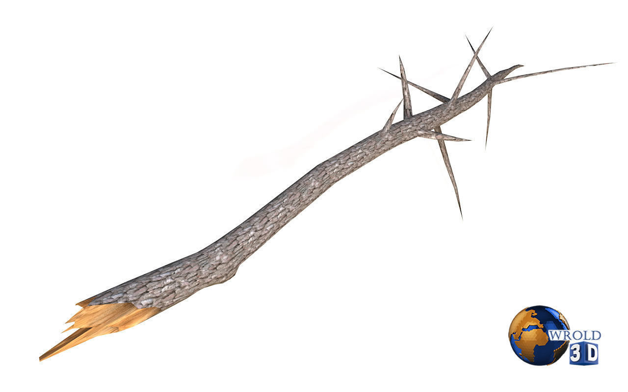 Lowpoly Broken Tree Branches Stump Collection Pack 3d Model Low-poly 3D model_5