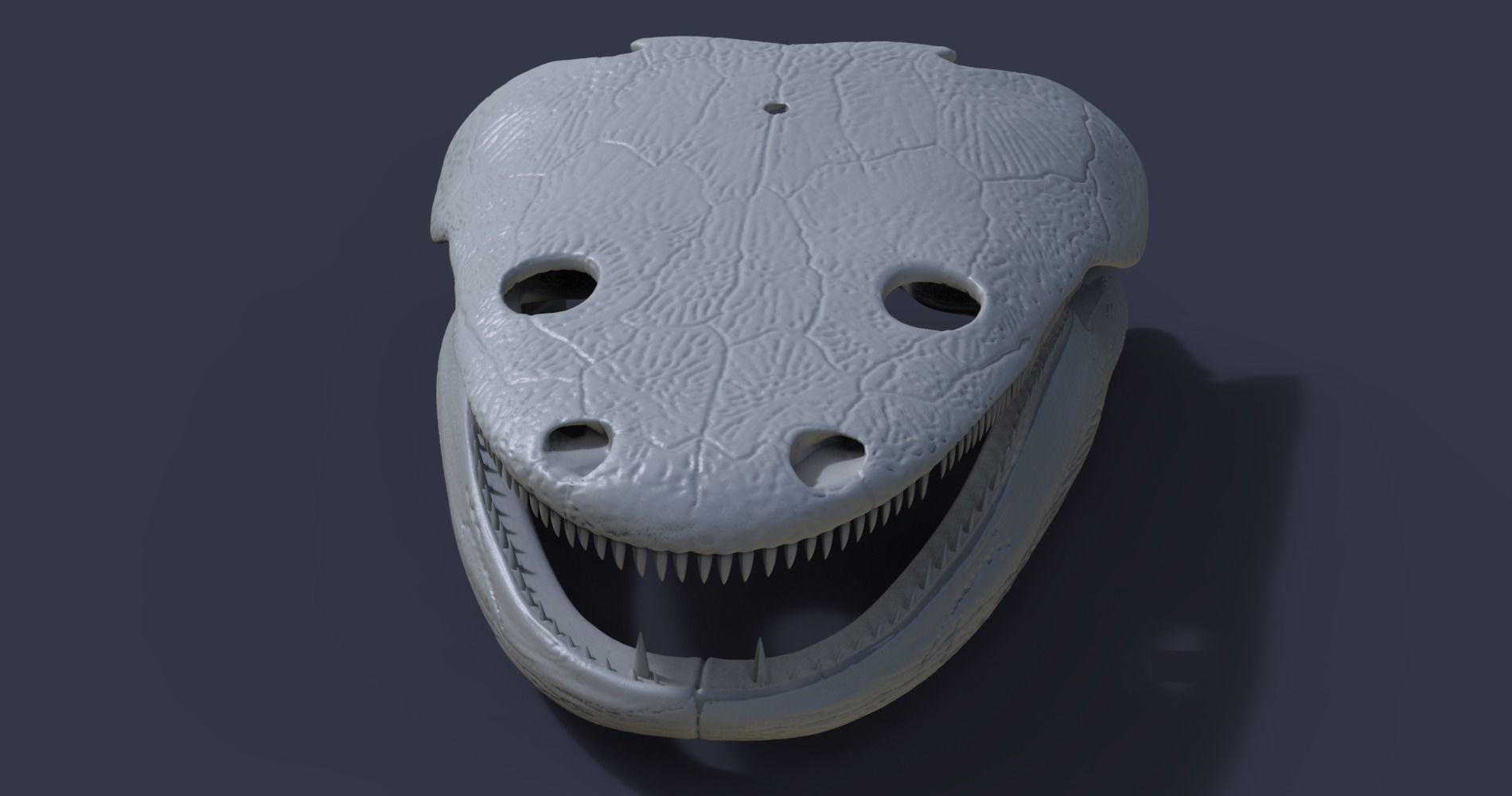 Skull of a Metoposaurus diagnosticus 3D model_1